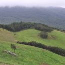 발산목장 이미지