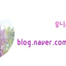 로타리커피숍 - 창원시 마산합포구 불종거리로 64 | 로타리커피숍