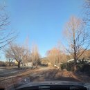 백운행복 | 백운계곡 글램핑장 동계 솔직후기 / 내돈내산후기