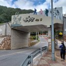 11월15일 정선 민둥산(1,119m) 산행공지 이미지