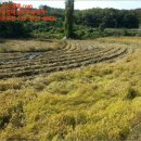 쌍지보건진료소 이미지