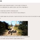 유황 F&S 이미지