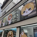 와와스토어 - 원주시 진광길 35 | [팝업]홍대 모프샌드 팝업스토어 방문 후기