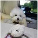 미단씨티10호공원 화장실 이미지