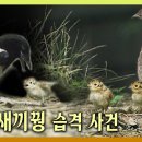 새한주 이미지