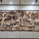 청량산박물관전시실 이미지