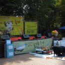 솔안말공원 Daum카페