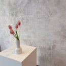 럭스플로스 이미지