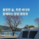 창원 캠핑장 추천 더숨포레스트 오션뷰 카라반 후기부터 예약 꿀팁까지