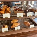 소금빵 투어 🥐 | 가장 맛있는 소금빵 찾기