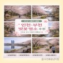 씨유부천도당중앙점 | 2026 올 봄 인천 부천 벚꽃 명소 BEST