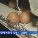 이병주농장 MBN