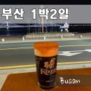 망고호텔 | 부산 1박2일 출장기 : 청화백돼지국밥 광안리 러닝 코스 코젤다크