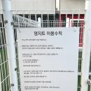 댕지트
