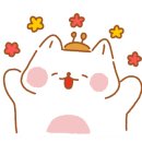 와이엠뷰티사하
