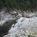 용소농장 이미지