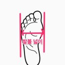 운동화이야기 이미지