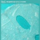레브클로젯 네이버블로그