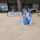소로3-150 | 2편. 2026 봄 궁중문화축전 [경복궁, 시간여행-궁중새내기] 데이트 후기