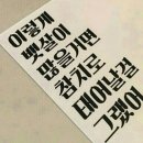 화이트초콜렛