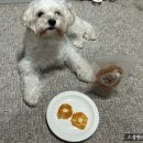 똘멍이네 이미지