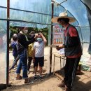 묘량중앙초등학교 이미지