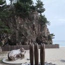 쏠비치 리조트 삼척 이미지