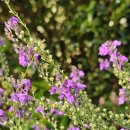 버튼호텔 이미지