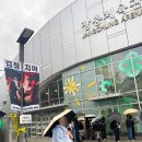 검정치마 앵콜 콘서트 [LAST CHANCE TO COME BACK HOME] 후기 | 5.9(금) (+장충체육관 스탠딩 맨 뒤 시야)