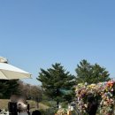 영선축사 이미지