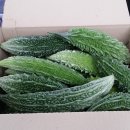 여주-0442 이미지