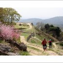 꽃길만걷자