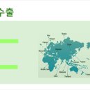 지앤지콘텍트렌즈 이미지