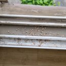 해날아파트 이미지