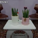 캣앤챗영어교습소