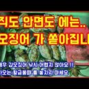 [ 2020년 11월 11일 ] 서해 안면도 좌대 생새우 외수질 낚시 ( Feat. 생새우 갑오징어 낚시 어렵지...