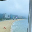 아성미디어 | N번째 방문, 💕 좋아라 하는 [웨스틴조선부산]과 [까밀리아 조식] 꼭 먹어 😋 베스트 모음입니다.