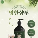 톤앤매너컬러스튜디오 이미지