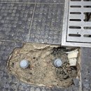 비비큐 부산연산파크시티 | [부산 연제구 주방 수도 배관 메꾸라 작업] BBQ 연산파크시티점 누수 긴급복원