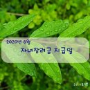 2020년 근로, 자녀장려금 8월 지급일이예요 이미지