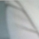 위너스메드 네이버블로그