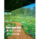 아이와 함께 즐기기 좋은 제주도실내관광지 한라아트뮤지엄