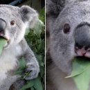 일수농장 이미지