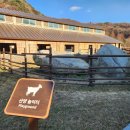 홍천산양목장 이미지