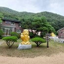 고당사 이미지