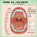 방송대의 자랑 중문과 서울지역 스터디 분포 안내 이미지