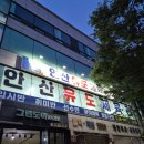 용인대 대한 유도체육관 이미지