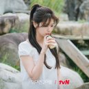 건축사사무소옆집 이미지