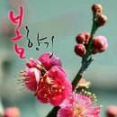 건강하개 이미지