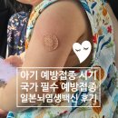 내원어린이집 | 국가 예방접종 시기 질병관리청 조회 일본뇌염 생백신 이상반응 후기